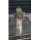 CRYOGENIC PUMP CTI-CRYOGENICS CT8