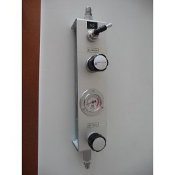 ASSY GAS REGULATOR (BS300-8)